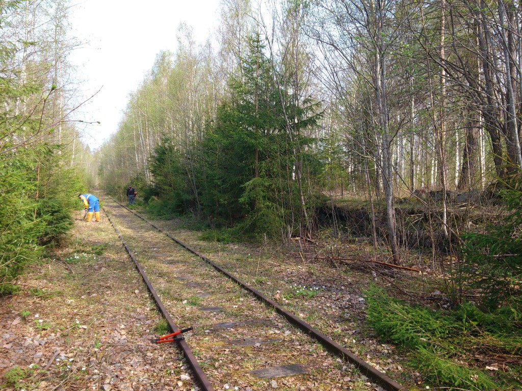 Slyröjning av linjen mot Bålsjöverket